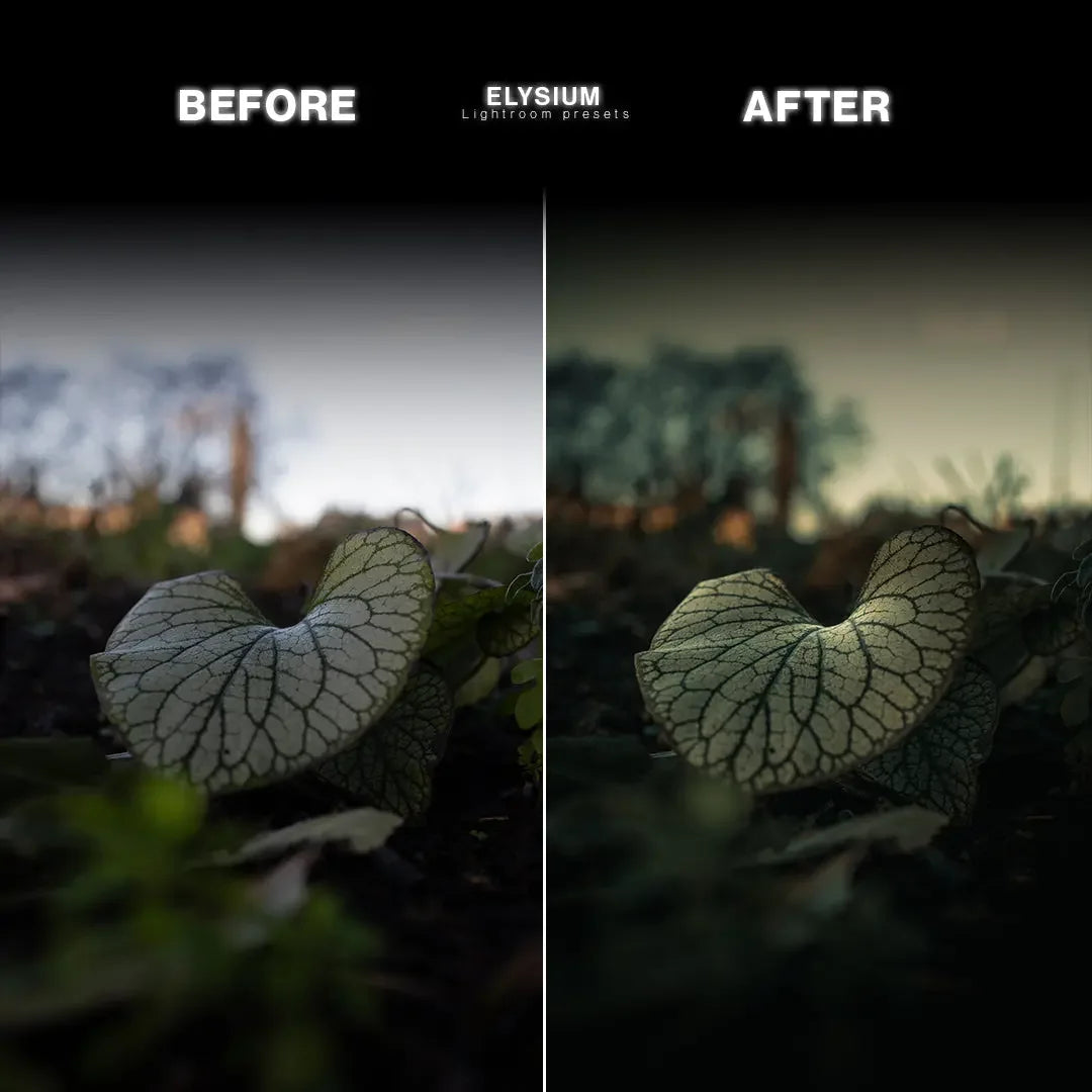 Elysium Lightroom Preset Pack – cinematic before and after photo previews
