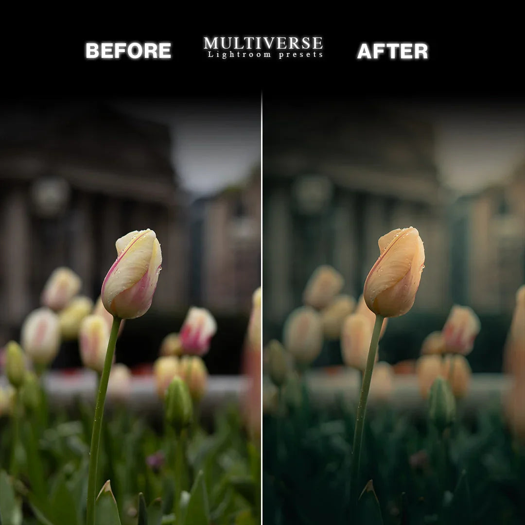 Before and after Lightroom preset result – cinematic tulip photo