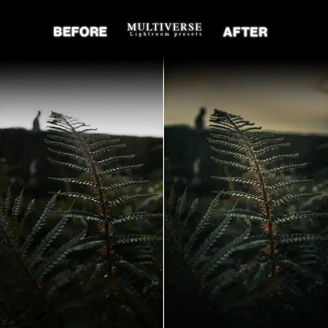 Before and after cinematic plant detail – Multiverse Lightroom edit