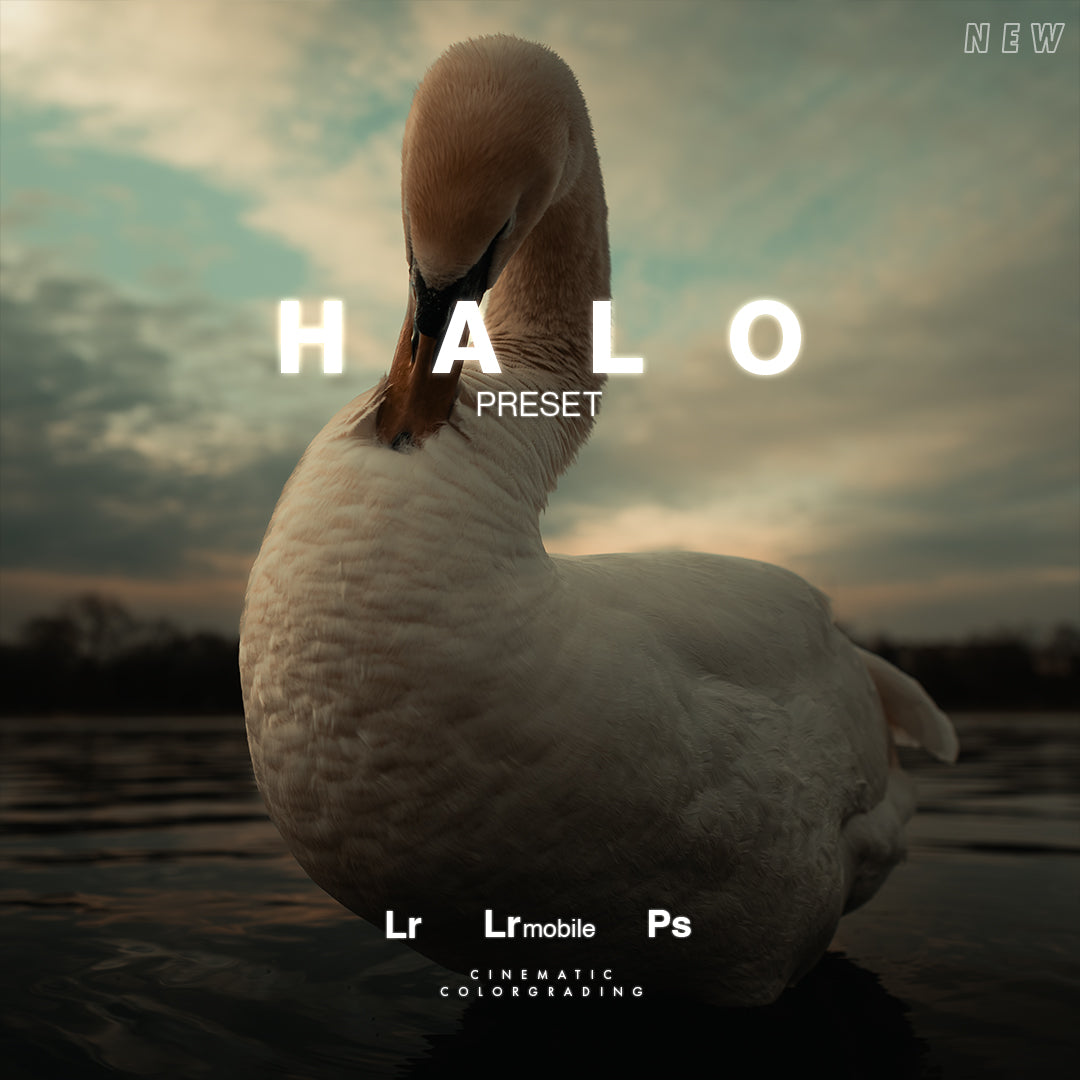 🎁 HALO Cinematic Preset — Gift (100% off)