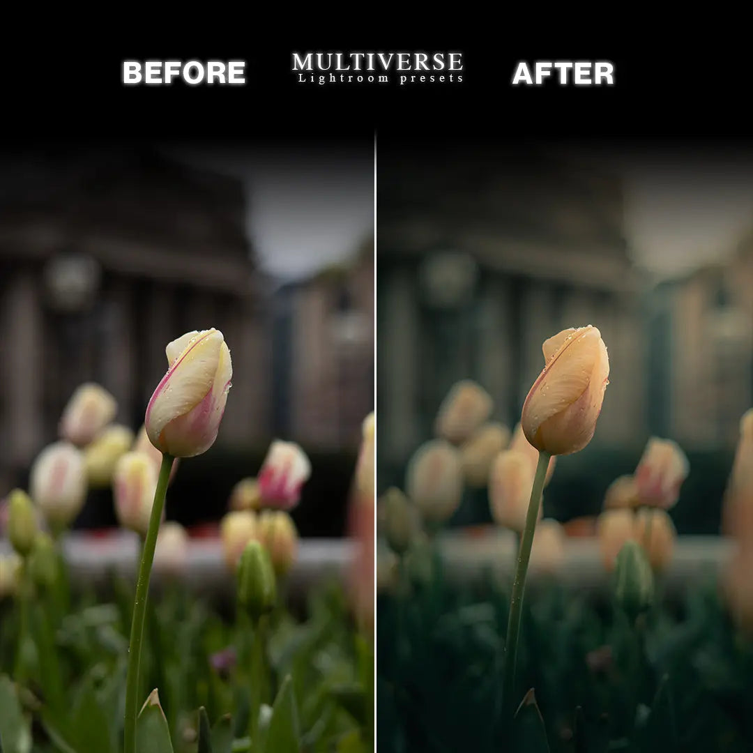 MULTIVERSE PRESETS PACK My Store