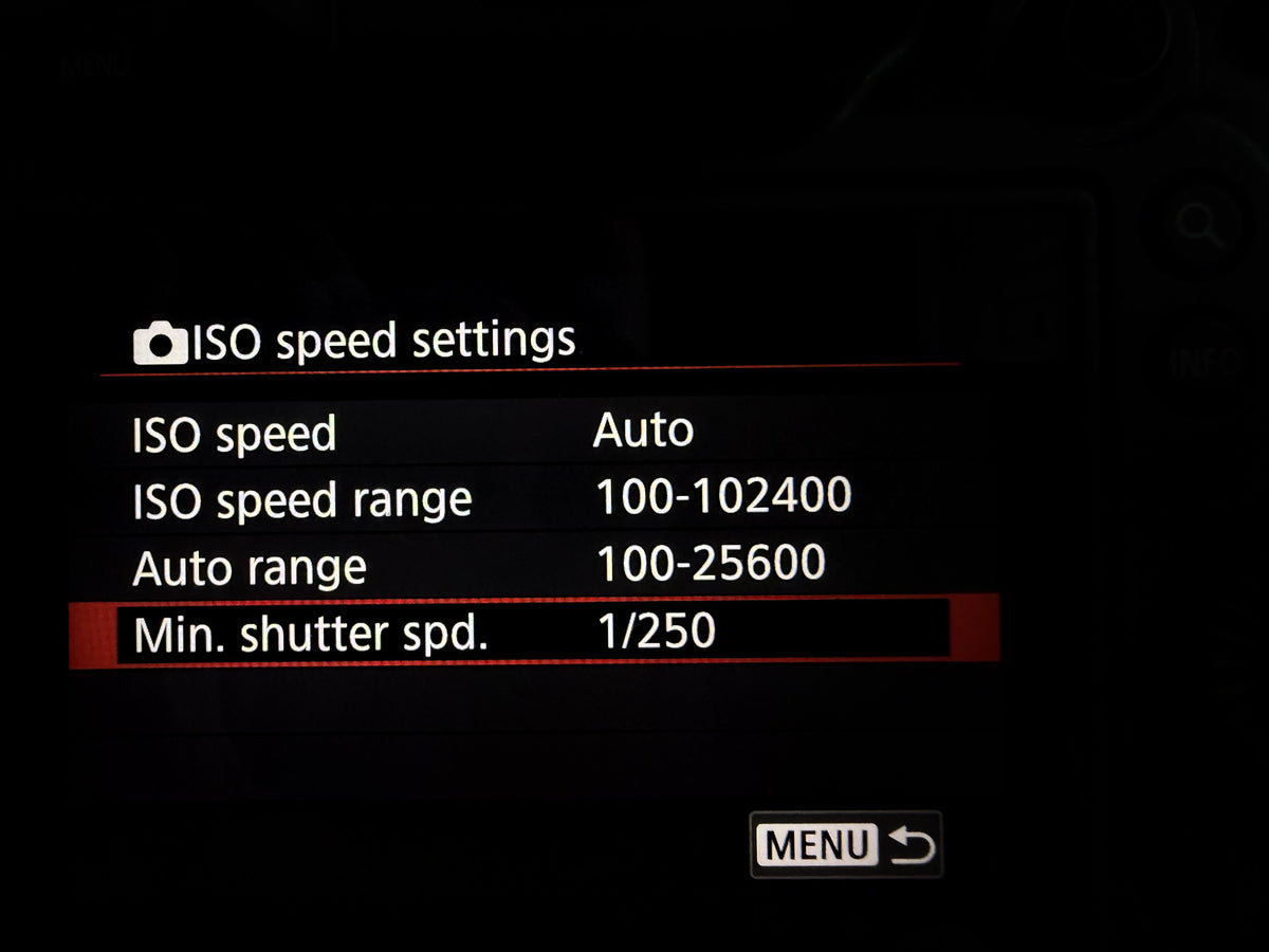 Camera menu: Auto ISO with a minimum shutter speed of 1/250
