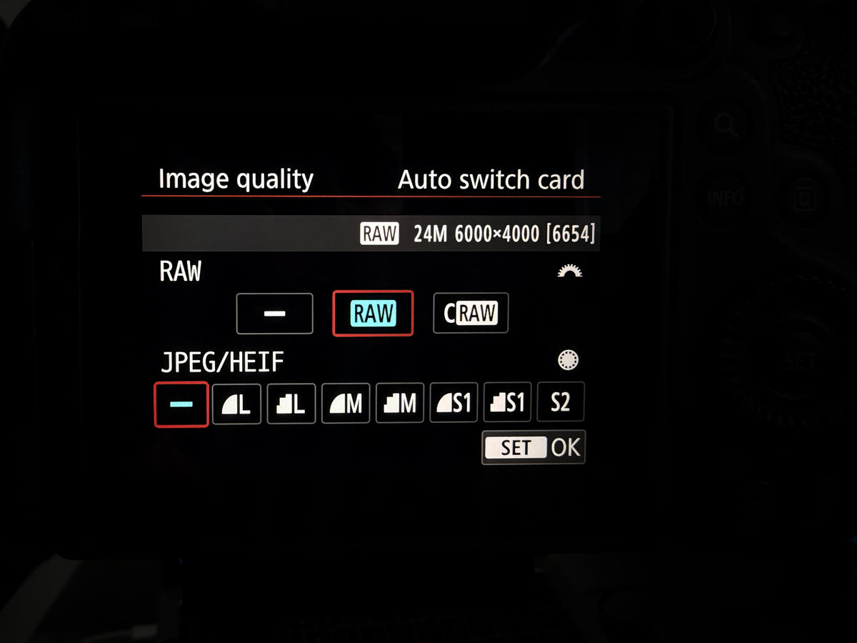 Camera menu with image quality set to RAW
