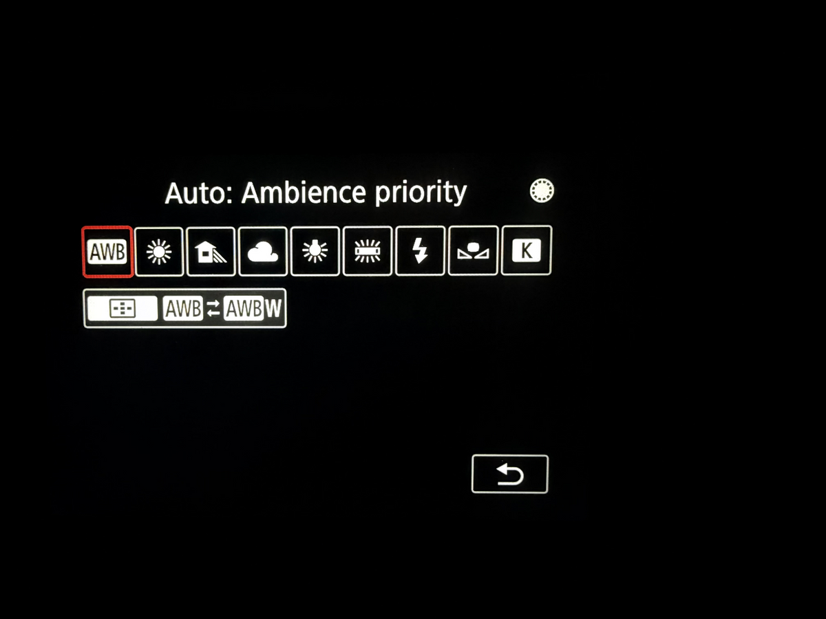 Camera white balance menu set to Auto